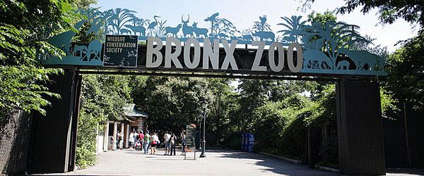 Самые большие зоопарки мира