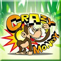 Как играть в Crazy Monkey