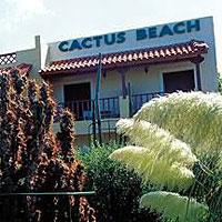 Cactus beach